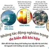 [Infographics] Những tác động nghiêm trọng do biến đổi khí hậu