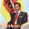 Quốc vương Brunei Darussalam Sultan Haji Hassanal Bolkiah. (Ảnh: Thống Nhất/TTXVN)