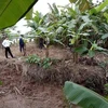 Thái Bình: Phát hiện xác ba người đàn ông chết tại sông Hóa 