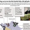 [Infographics] Những vụ án ma túy lớn bị phát hiện, bắt giữ gần đây