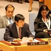 Đại sứ Đặng Đình Quý, Trưởng Phái đoàn đại diện thường trực Việt Nam tại Liên hợp quốc. (Ảnh: Hữu Hoàng/TTXVN)