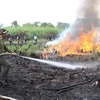 Các đơn vị tham gia diễn tập chữa cháy rừng. (Ảnh: Hồng Thái/TTXVN)