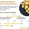 Hàng tỷ USD vàng nhập lậu từ châu Phi vào UAE mỗi năm
