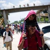 Người di cư Trung Mỹ tại khu vực giữa Metapa và Tapachula, trong hành trình tới Mỹ. (Nguồn: AFP/TTXVN)