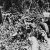 Bộ đội ta kéo những khẩu pháo nặng hàng chục tấn vượt núi, xuyên rừng vào chiến trường Điện Biên Phủ. (Ảnh: Tư liệu TTXVN)