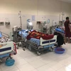 Bắc Kạn: Bốn người phải nhập viện do ăn nhầm lá ngón