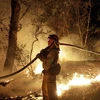 Vụ cháy rừng kinh hoàng năm 2018 tại California. (Nguồn: AP)