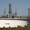 Nhà máy lọc dầu của Tập đoàn dầu khí quốc gia Brazil Petrobras tại Cubatao, Sao Paulo (Brazil). (Nguồn: AFP/TTXVN)