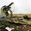 Xác máy bay MH17 của Hãng hàng không Malaysia Airlines bị bắn rơi gần làng Grabove, cách Donetsk, miền Đông Ukraine khoảng 80km. (Nguồn: AFP/TTXVN)