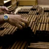 Công nhân phân loại xì gà tại nhà máy Cohiba ở La Habana, Cuba. (Ảnh: AFP/TTXVN)