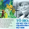 Tô Hoài - Cây bút tên tuổi của nền văn học Việt Nam