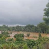 Mưa lũ gây ngập hàng trăm hecta cây trồng của người dân tỉnh Đắk Nông. (Ảnh: Hưng Thịnh/TTXVN)