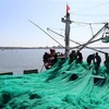 Ngư dân Quảng Trị được hỗ trợ bảo hiểm khi hành nghề khai thác hải sản xa bờ. (Ảnh: Nguyên Lý/TTXVN)