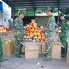 Biên phòng tỉnh Lạng Sơn kiểm đếm số pháo bị bắt giữ. (Ảnh: Quang Duy/TTXVN)