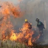 Lực lượng cứu hỏa nỗ lực dập lửa cháy rừng tại Robore, tỉnh Santa Cruz, Bolivia, ngày 19/8/2019. (Nguồn: AFP/TTXVN)