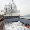 Bốc xếp gạo xuất khẩu tại cảng Cửa Lò (Nghệ An). (Ảnh: Danh Lam/TTXVN)