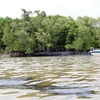 Xuất hiện nhiều vệt dầu loang trên sông Lòng Tàu sau vụ chìm tàu. (Ảnh: Tiến Lực/TTXVN)
