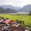 Hồ Ba Bể - cụm du lịch đặc sắc bậc nhất của tỉnh Bắc Kạn. (Nguồn: backan.gov.vn)