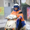 Từ đêm 28-31/10, Bắc Bộ và Bắc Trung Bộ có mưa vừa đến mưa to. (Ảnh: Lê Minh Sơn/Vietnam+)
