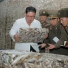 Nhà lãnh đạo Triều Tiên Kim Jong-un thăm nhà máy chế biến cá mới xây ở khu cảng tỉnh Tongchon, miền Đông nước này. (Ảnh: YONHAP/TTXVN)