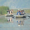 Du khách trong và ngoài nước tham quan khu bảo tồn thiên nhiên đất ngập nước Vân Long bằng thuyền. (Ảnh: Minh Đức/TTXVN)
