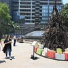 Cây thông Giáng sinh được làm từ những cành cây, mảnh vụn và củi khô bị cháy xém được trưng bày tại khu thương mại trung tâm ở thành phố Sydney, Australia. (Ảnh: AFP/TTXVN)