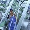 Dây chuyền sản xuất vải dệt kim tại Công ty TNHH Best Pacific Việt Nam, vốn đầu tư của Hồng Kong (Trung Quốc) tại khu công nghiệp VSIP (Hải Dương). (Ảnh: Danh Lam/TTXVN)
