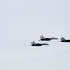 Máy bay gặp nạn là máy bay chiến đấu MiG. (Nguồn: AFP)