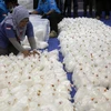 Tang vật một vụ buôn lậu ma túy tại Indonesia. (Nguồn: thejakartapost.com)