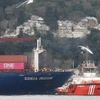 Tàu chở hàng Songa Iridum treo cờ Liberia đâm vào bờ tại eo biển Bosphorus. (Nguồn: CNN)