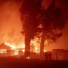 Lửa cháy rừng bốc ngùn ngụt thiêu rụi nhiều ngôi nhà tại North Park, khu vực lân cận San Bernardino, bang California (Mỹ). (Ảnh: AFP/TTXVN)