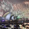 Màn pháo hoa chào đón Năm Mới 2019 tại Cầu cảng và Nhà hát Opera ở Sydney, Australia. (Ảnh: AFP/TTXVN)
