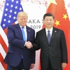 Tổng thống Mỹ Donald Trump (trái) trong cuộc gặp Chủ tịch Trung Quốc Tập Cận Bình tại Osaka, Nhật Bản ngày 29/6/2019. (Ảnh: THX/TTXVN)