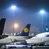 Máy bay của hãng hàng không Lufthansa tại sân bay ở Frankfurt am Main, miền Tây nước Đức. (Ảnh: AFP/TTXVN)