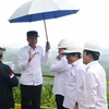 Tổng thống Indonesia Joko Widodo (giữa) cùng các quan chức thăm huyện Bắc Penajam Paser thuộc tỉnh Đông Kalimantan. (Ảnh: AFP/TTXVN)