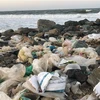 Rác thải chủ yếu là túi nylon, chai nhựa tại bãi biển thành phố Tuy Hòa (Phú Yên). (Ảnh: Phạm Cường/TTXVN)