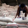 Philippines dự kiến sẽ nhập khoảng 2,5 triệu tấn gạo trong năm 2020. (Nguồn: philstar.com)