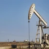 Một cơ sở khai thác dầu tại Qamishli, Syria. (Ảnh: AFP/TTXVN)
