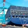 Tàu chở hàng hóa xuất nhập khẩu tại cảng Port Elizabeth của Nam Phi. (Ảnh: Phi Hùng/TTXVN)