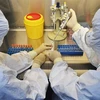 Xét nghiệm các mẫu bệnh phẩm tại phòng thí nghiệm ở tỉnh Tứ Xuyên, Trung Quốc. (Ảnh: THX/TTXVN)