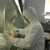 Xét nghiệm mẫu bệnh phẩm nghi nhiễm SARS-CoV-2. (Ảnh: Phan Sáu/TTXVN)