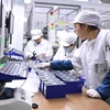 Công nhân làm việc tại nhà máy ở Ninh Đức, tỉnh Phúc Kiến, Đông Nam Trung Quốc. (Ảnh: THX/TTXVN)