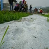 Mưa đá phủ trắng như tuyết ở xã Hua Thanh, huyện Điện Biên. (Ảnh: Xuân Tư/TTXVN)