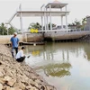 Cán bộ kỹ thuật của Sở Nông nghiệp và Phát triển nông thôn kiểm tra đo độ mặn tại cống thủy lợi Tre Bông, xã Tiên Thủy, huyện Châu Thành. (Ảnh: Vũ Sinh/TTXVN)