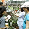 Nhân viên y tế và thanh niên tình nguyện hướng dẫn người dân thu gom phế thải, phế liệu, diệt bọ gậy để phòng chống dịch sốt xuất huyết. (Ảnh: Dương Ngọc/TTXVN)