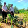 Em Phạm Thị Hoài Phương và Lê Tuấn Kiệt với máy cày điện để làm cỏ, bón phân. (Ảnh: Nguyên Linh/TTXVN)