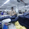 Sản xuất sản phẩm may mặc tại Công ty May Hưng Long (Mỹ Hào, Hưng Yên). (Ảnh: Phạm Kiên/TTXVN)