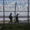 Binh sỹ Hàn Quốc tuần tra tại khu phi quân sự chia cắt hai miền Triều Tiên trên đảo Ganghwa. (Ảnh: AFP/TTXVN)