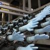 Một dây chuyền sản xuất găng tay phẫu thuật của Top Glove. (Nguồn: Top Glove)