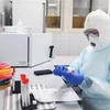 Nghiên cứu viên tìm hiểu mẫu bệnh phẩm của bệnh nhân COVID-19 tại phòng thí nghiệm ở Moskva, Nga. (Ảnh: RIA Novosti/TTXVN)